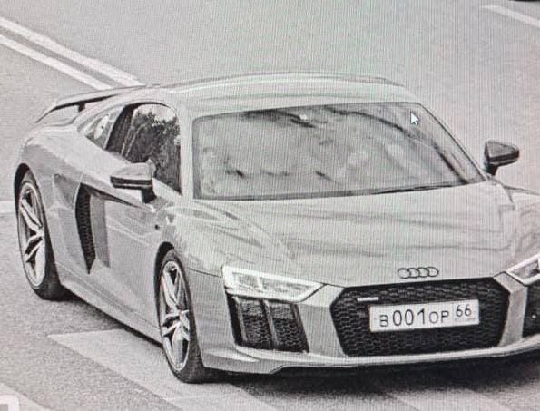 рассохин репринцев симбиоз кобыш